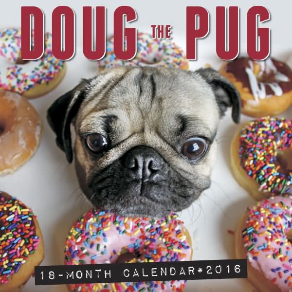 Doug the Pug Calendar 2016
