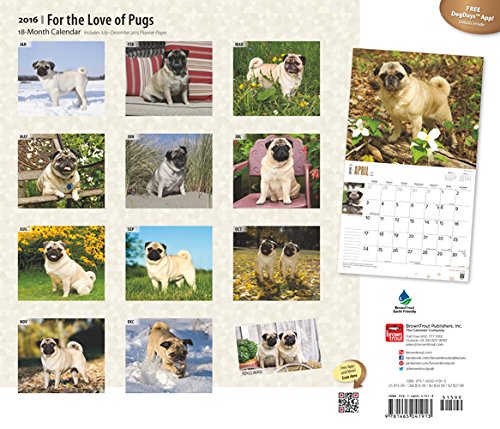 Pugs, For the Love of 2016 Deluxe Calendar