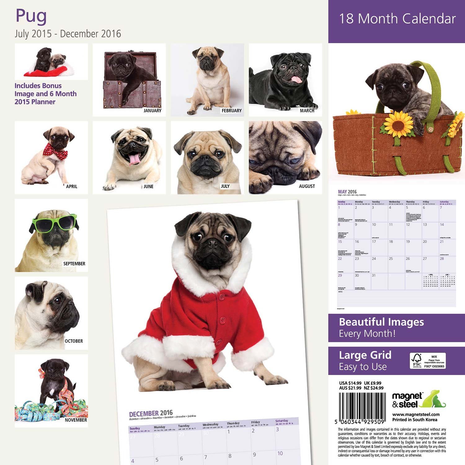 Magnet & Steel 18 Month 2016 Wall Calendar, Pug 